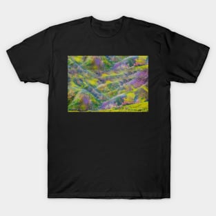 peinture à l'huile T-Shirt